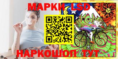 гашик Кандалакша
