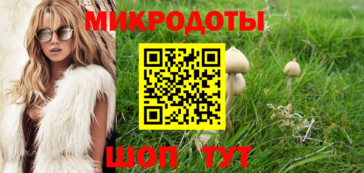 Вичуга  Псилоцибиновые грибы Magic Shrooms  где можно купить наркотик  Псилоцибиновые грибы MAGIC MUSHROOMS  Вход с VPN 